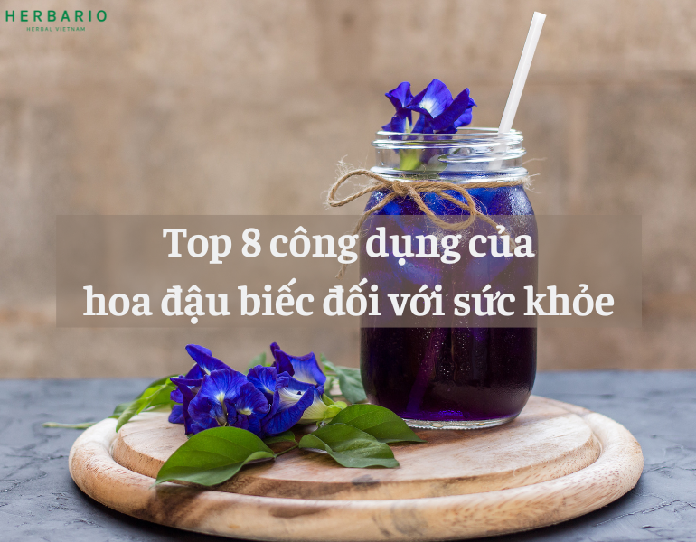 Top 8 công dụng tuyệt vời của hoa đậu biếc đối với sức khỏe