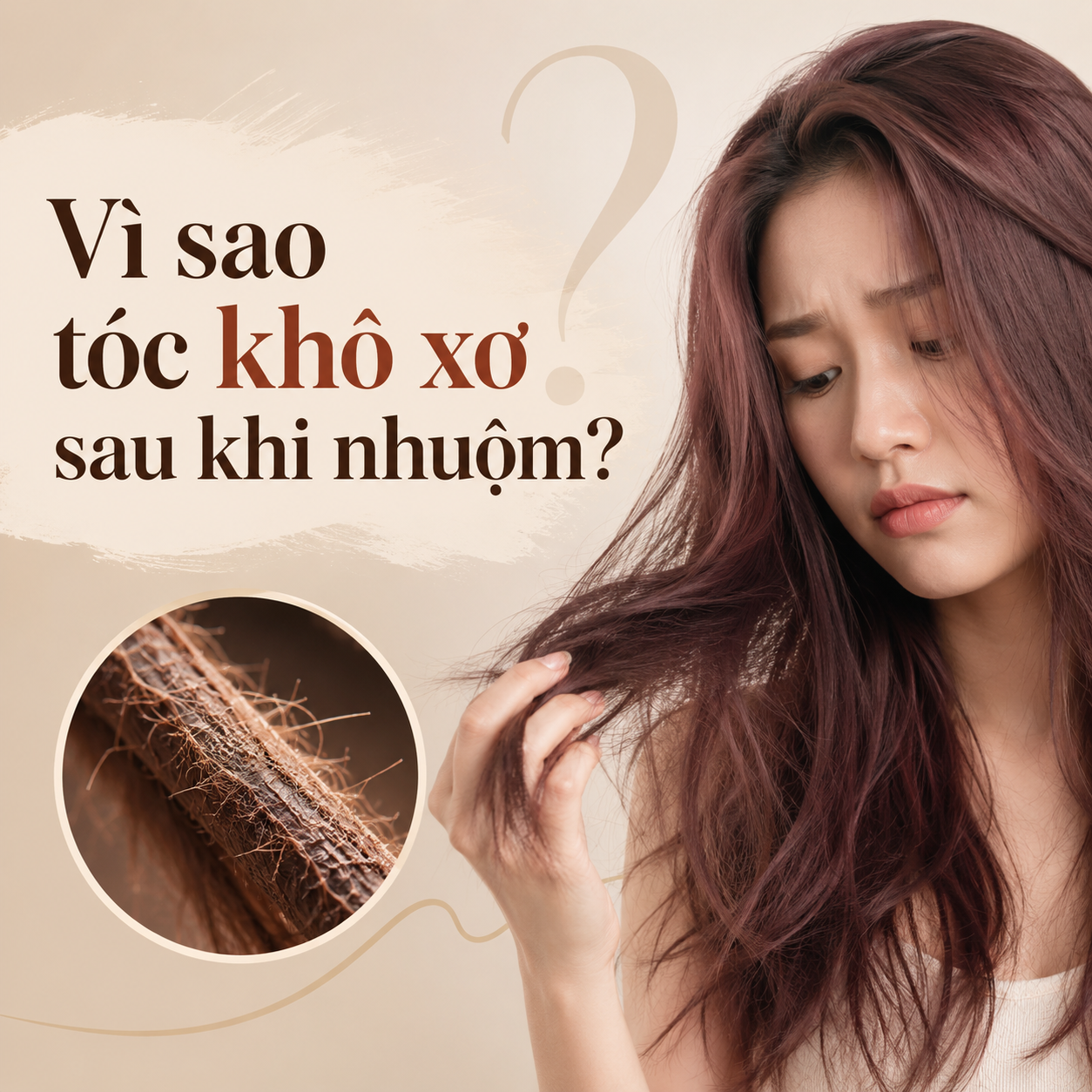 Vì sao tóc khô xơ sau khi nhuộm? Nguyên nhân và cách phục hồi tóc hiệu quả