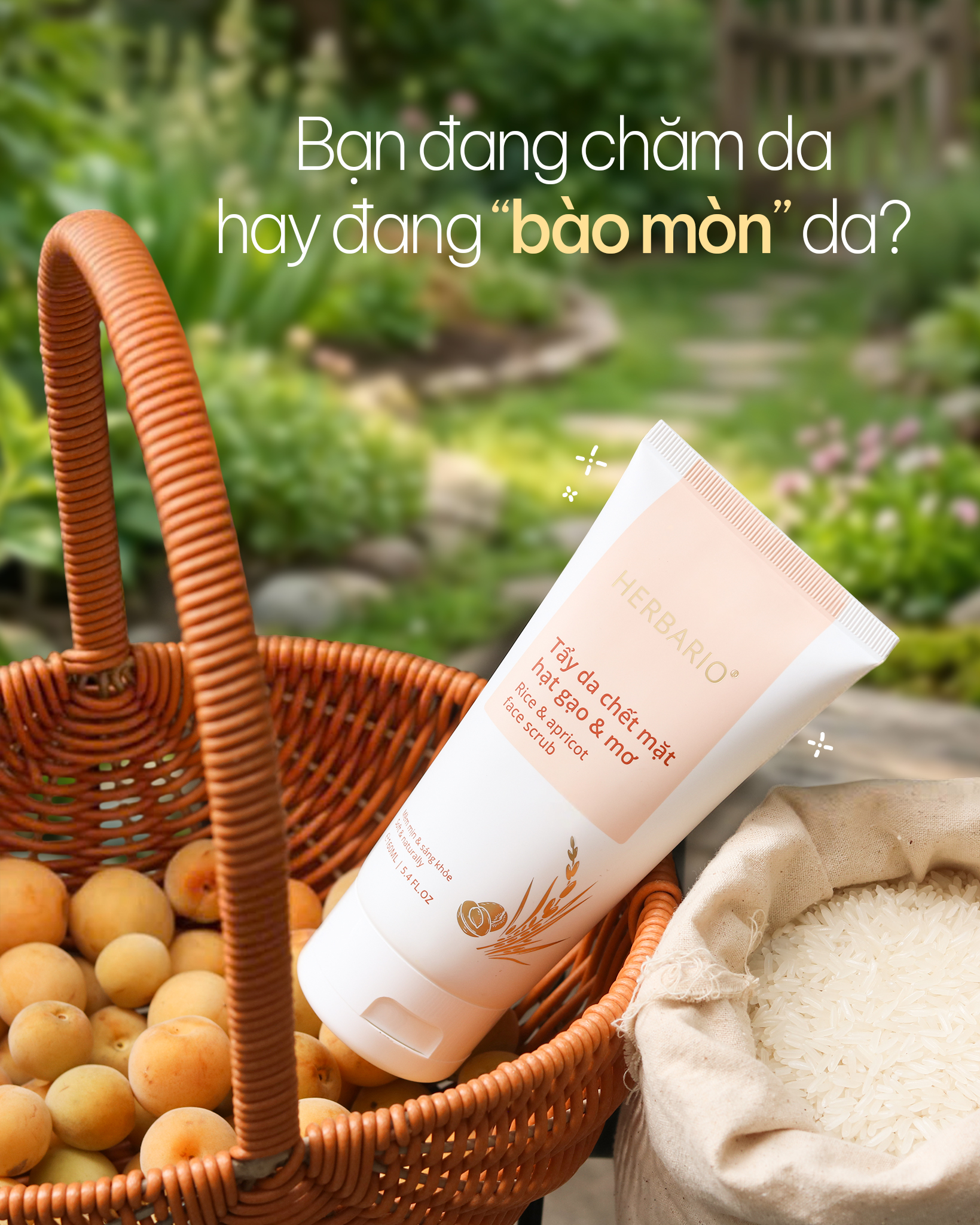 BẠN ĐANG CHĂM DA HAY ĐANG BÀO MÒN DA