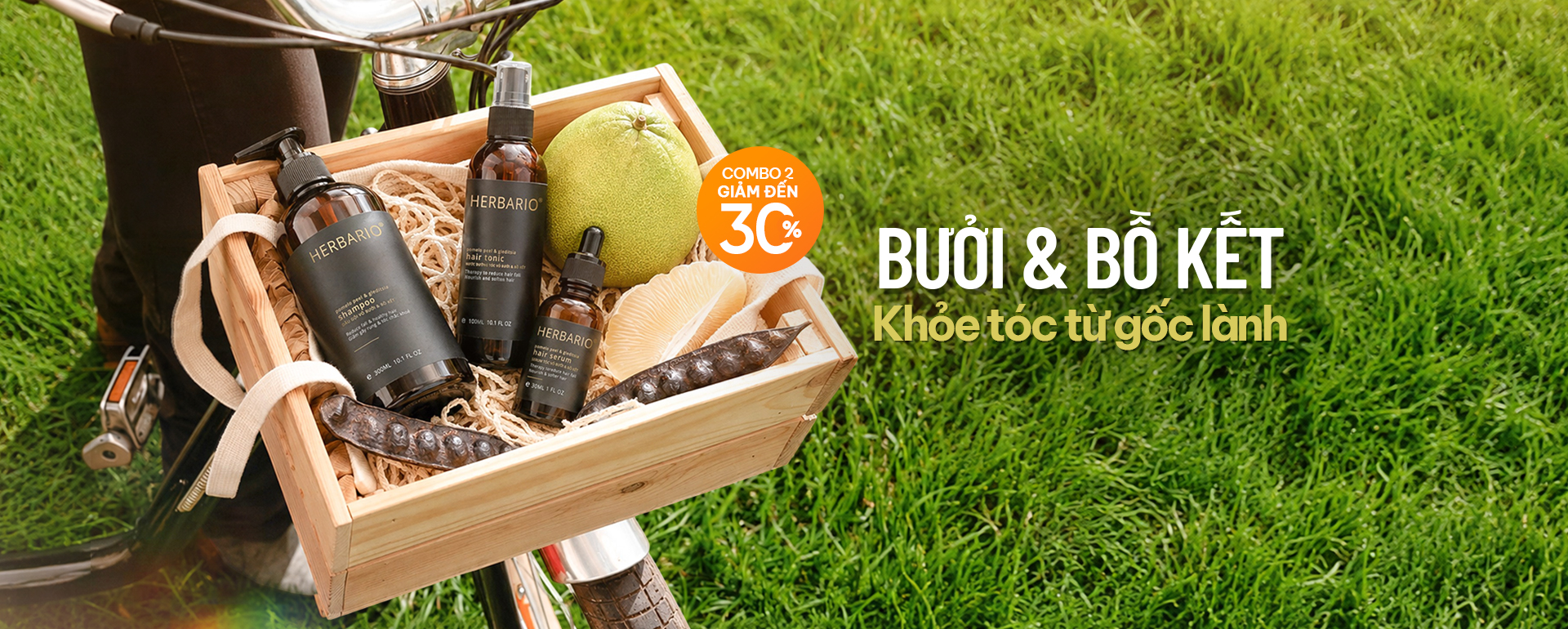 buoi-bo-ket-khoe-tu-goc-lanh