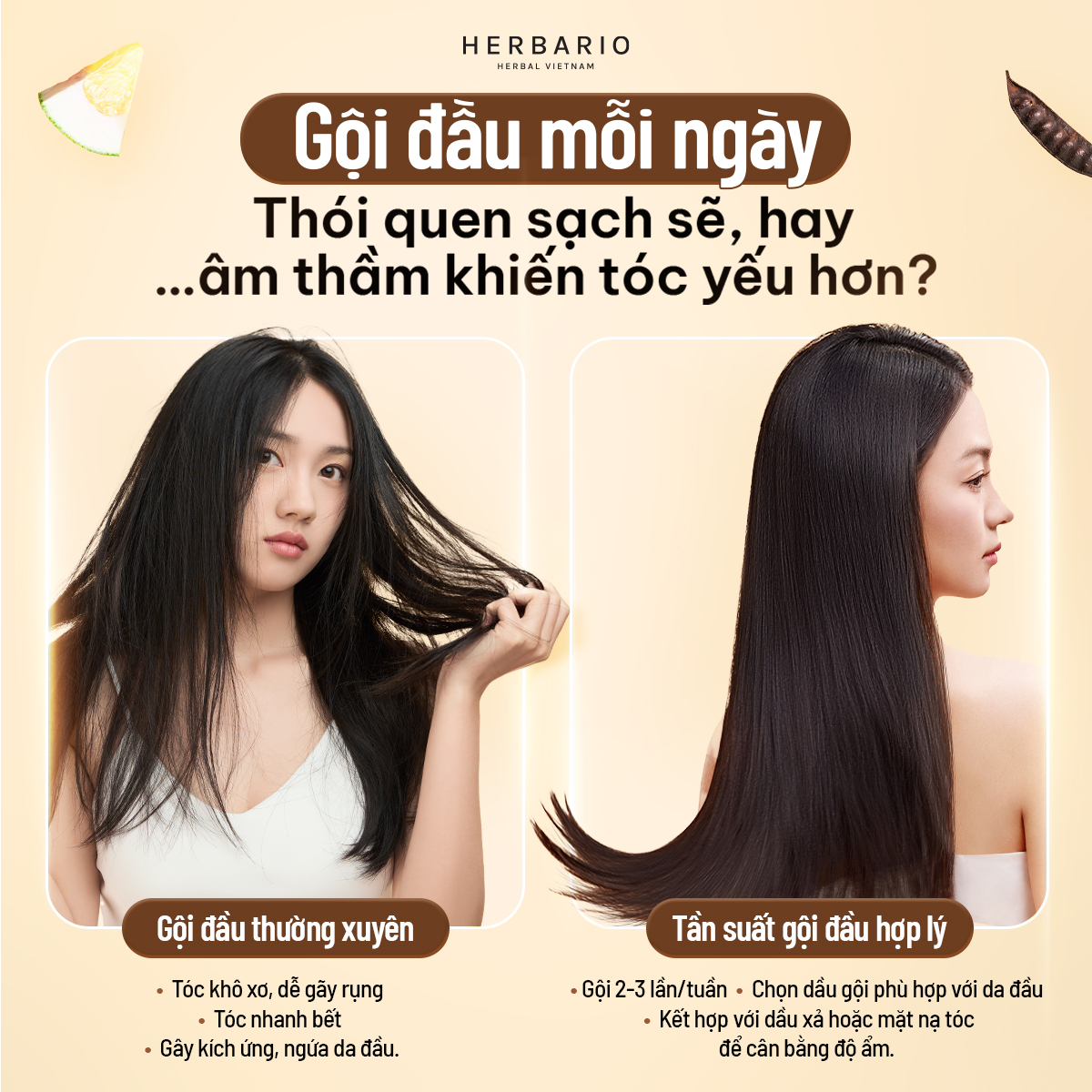 Gội đầu mỗi ngày