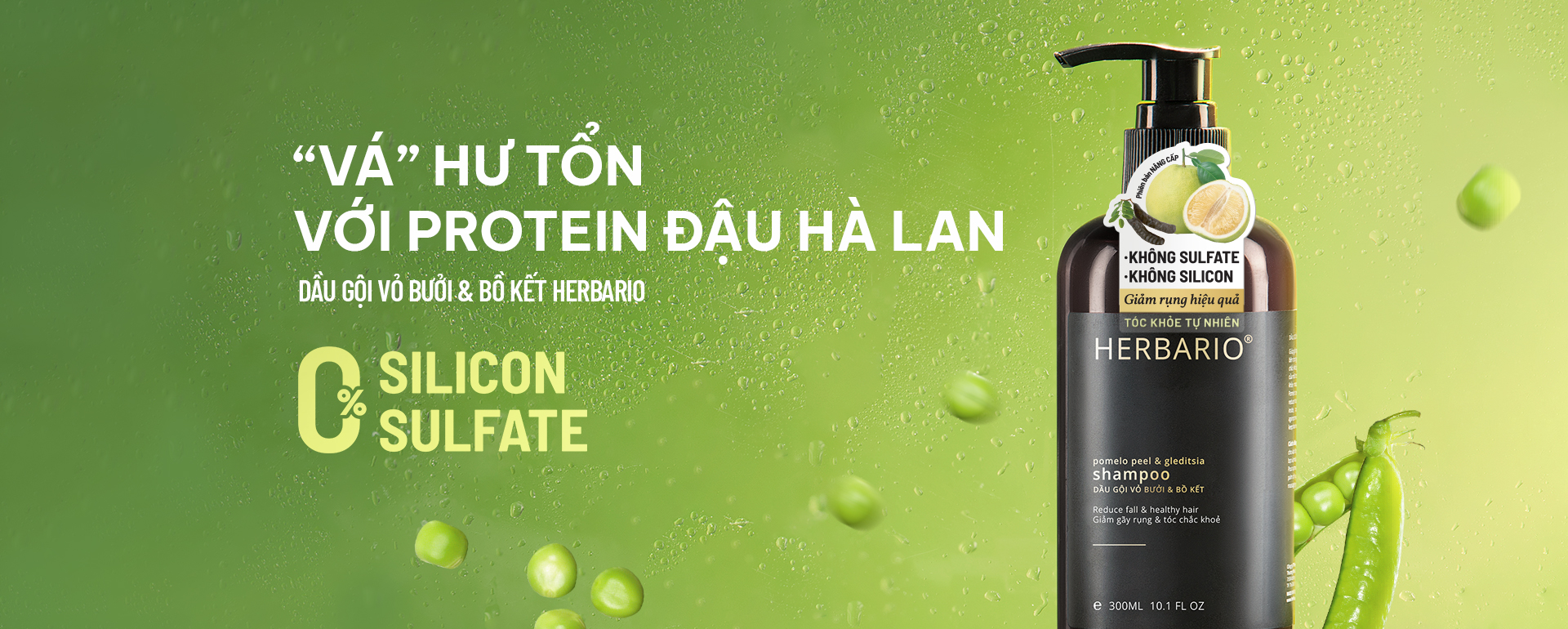 Vá hư tổn Protein Đậu hà lan