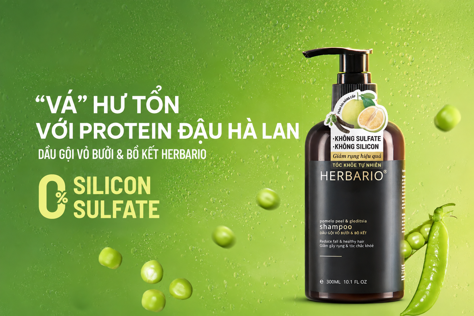 Vá hư tổn Protein Đậu hà lan