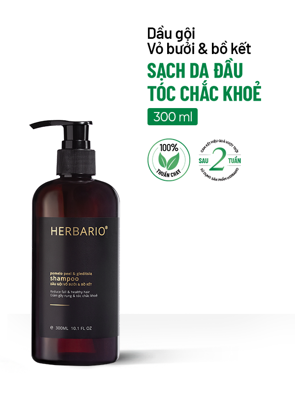Bản Nâng Cấp - Dầu gội vỏ bưởi & bồ kết 300ml không sulfate không silicon 