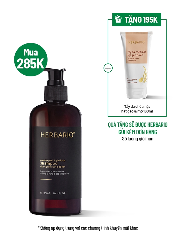 [BẢN NÂNG CẤP] Dầu gội vỏ bưởi & bồ kết Herbario 300ml TẶNG Tẩy Da Chết Mặt Gạo & Mơ Herbario 160ml 